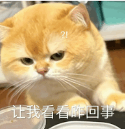 终于苹果首个第三方应用商店上线了！(图5)