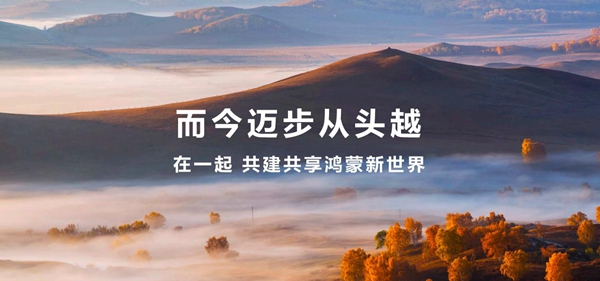 十年磨一剑！纯血鸿蒙“大器”已成(图5)