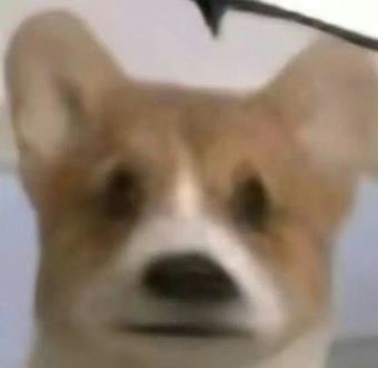 苹果WWDC2024：有亮点但不是很多…(图30)