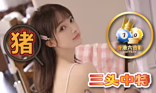 圈圈软件库合集软件资料V