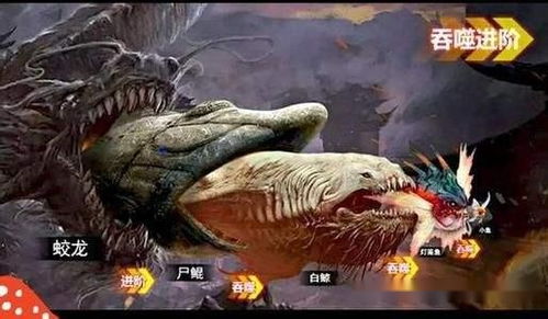 养殖游戏攻略文案怎么写养殖游戏(图2)