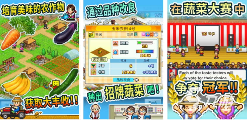 好玩的物语游戏大全2025有哪些物语游戏推荐(图6)