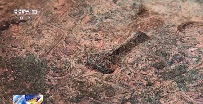 免费的强3D身体模拟器游戏