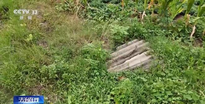 免费的强3D身体模拟器游戏(图18)