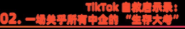TikTok的“白宫闯关”：大国博弈下的全球化新答案(图7)