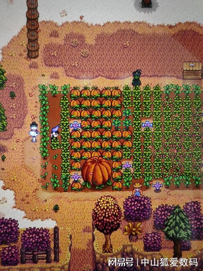 时间消失术远离这些九款游戏玩明白可以让你废掉(图14)