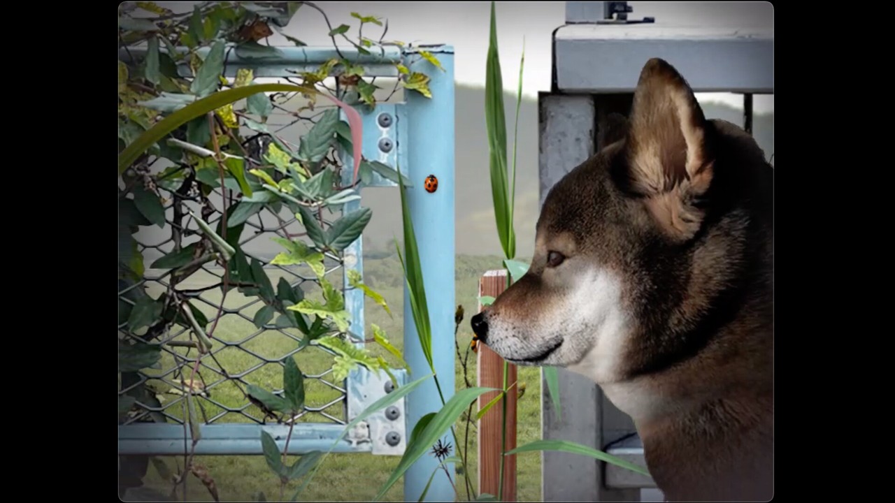 高质量的沉浸式恐怖游戏推荐十大经典沉浸式恐怖游戏合集(图9)